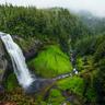 A waterfall running through lush reforested hills (placeholder image, to be replaced)